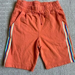 Boys Tea Collection knit shorts, size 14